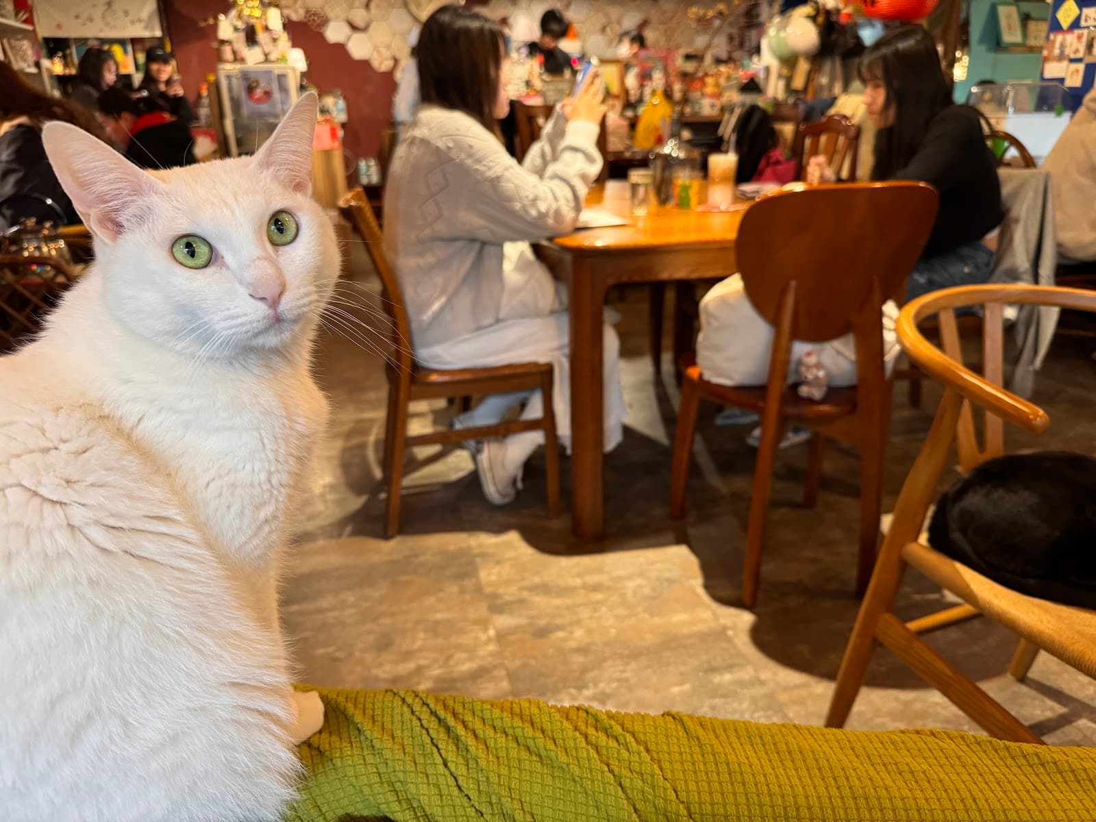 Cafe image 4
