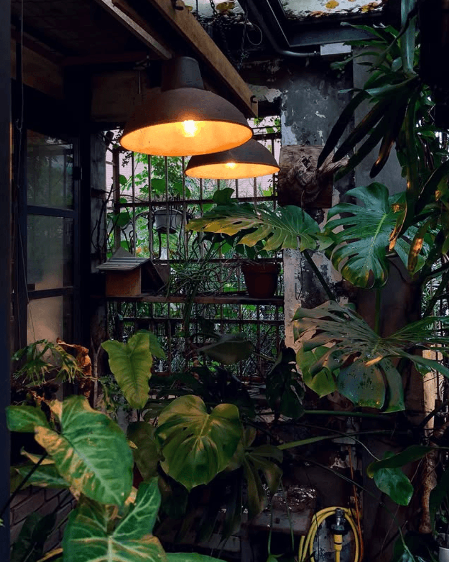 Cafe image 2