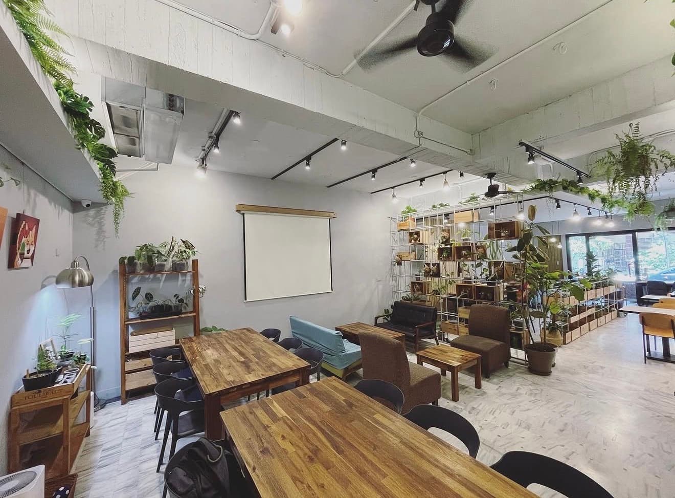 Cafe image 1