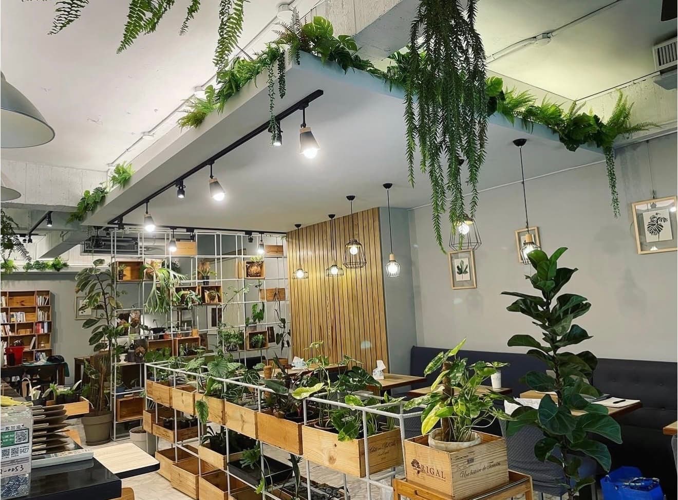 Cafe image 3