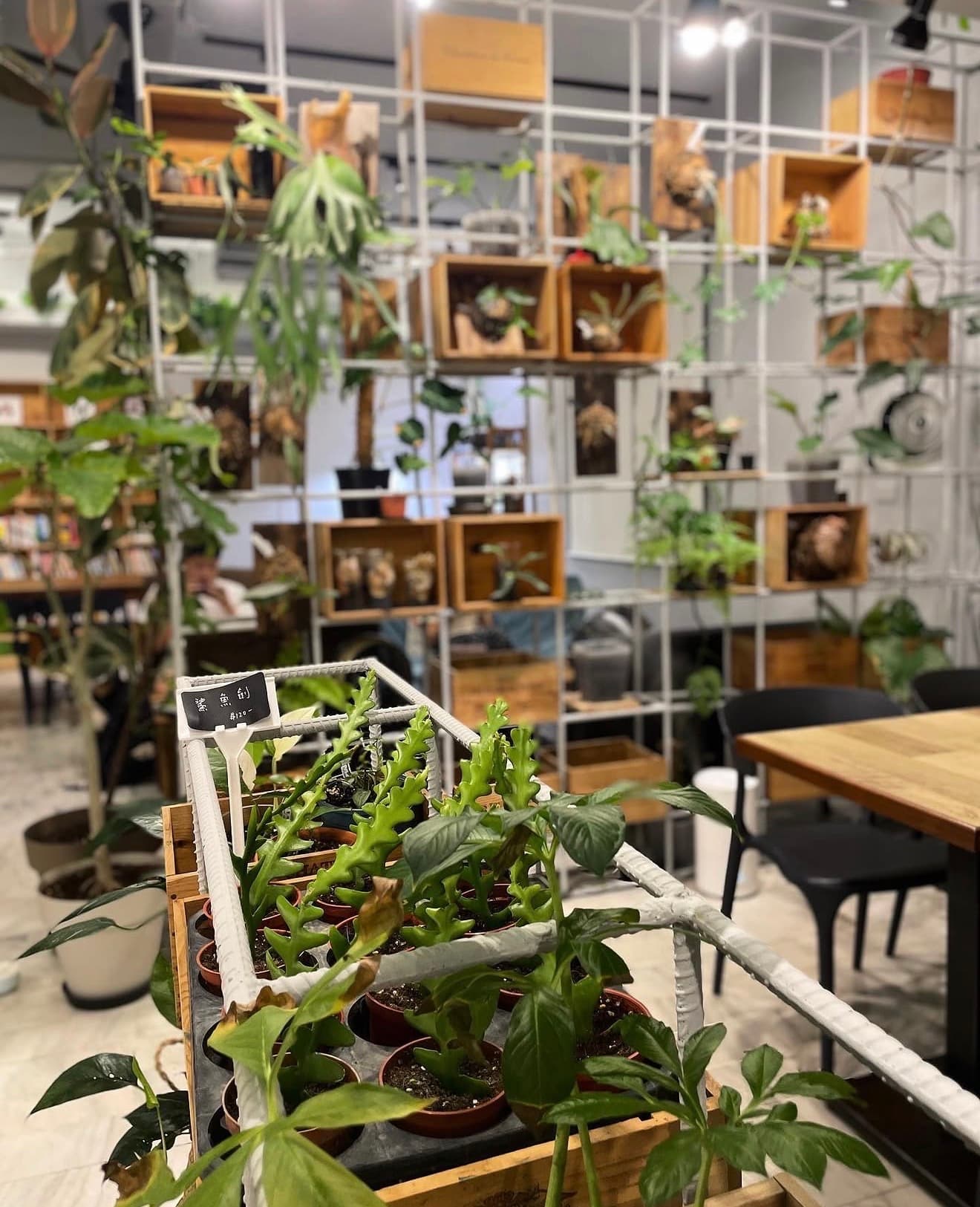 Cafe image 4