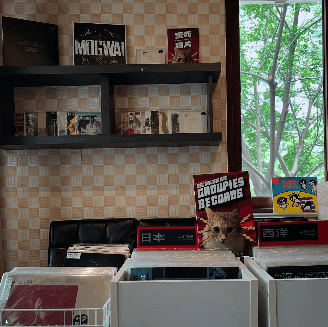 Cafe image 2