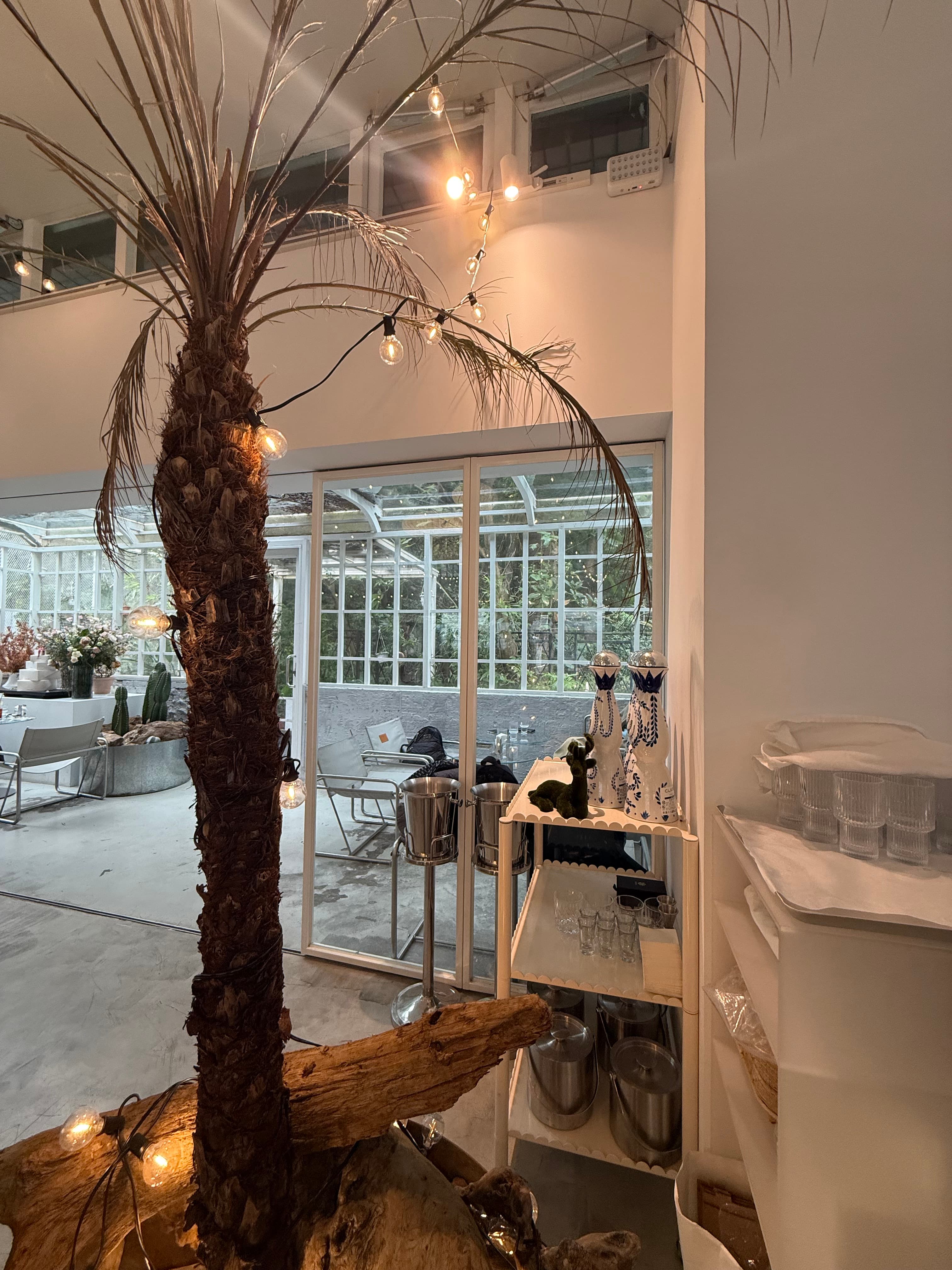 Cafe image 5