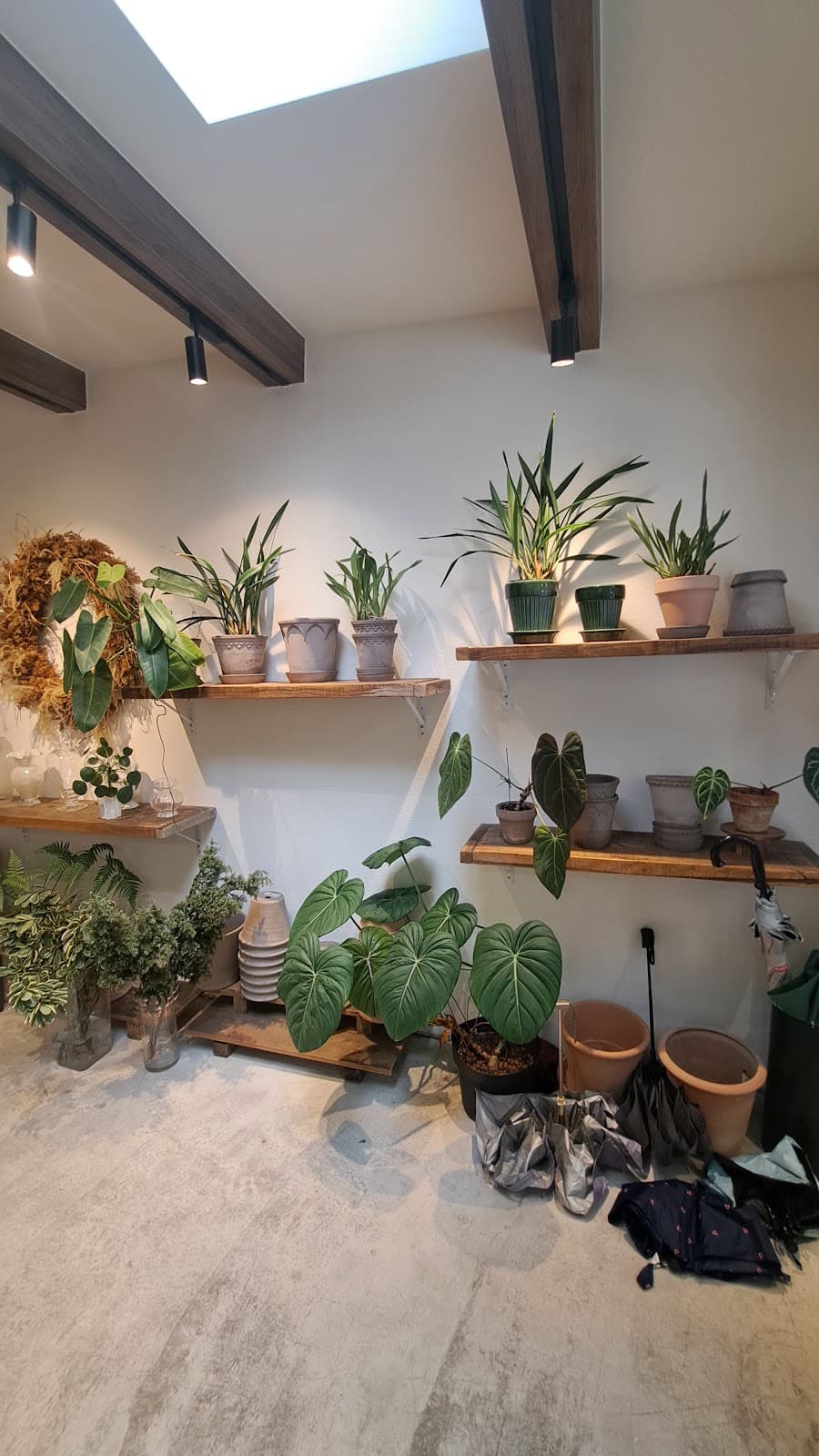 Cafe image 6