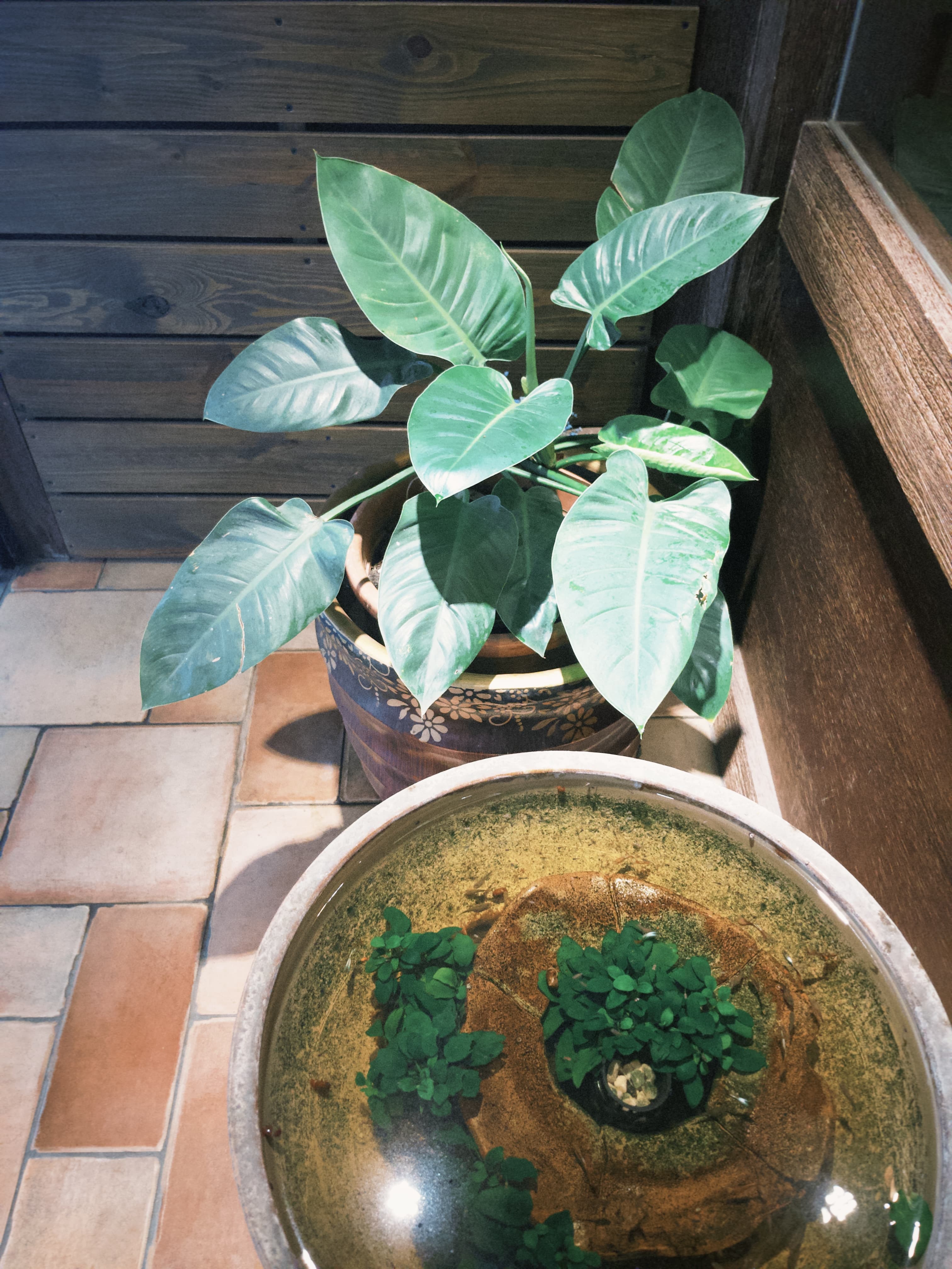 Cafe image 6